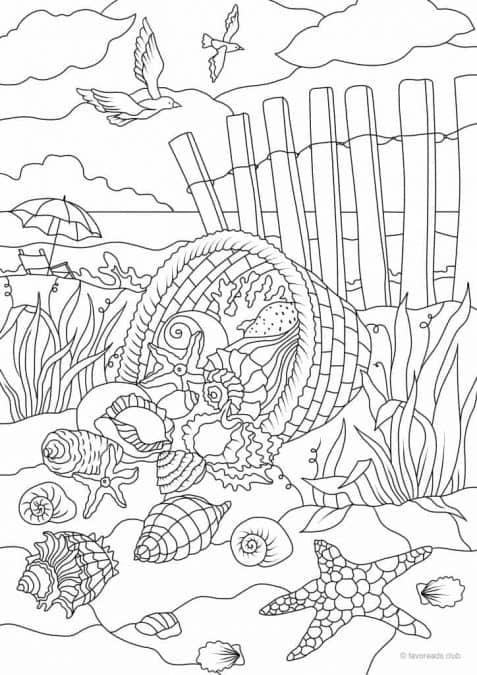 Sea Shells – Color Original Style or by Numbers – Favoreads Coloring Club