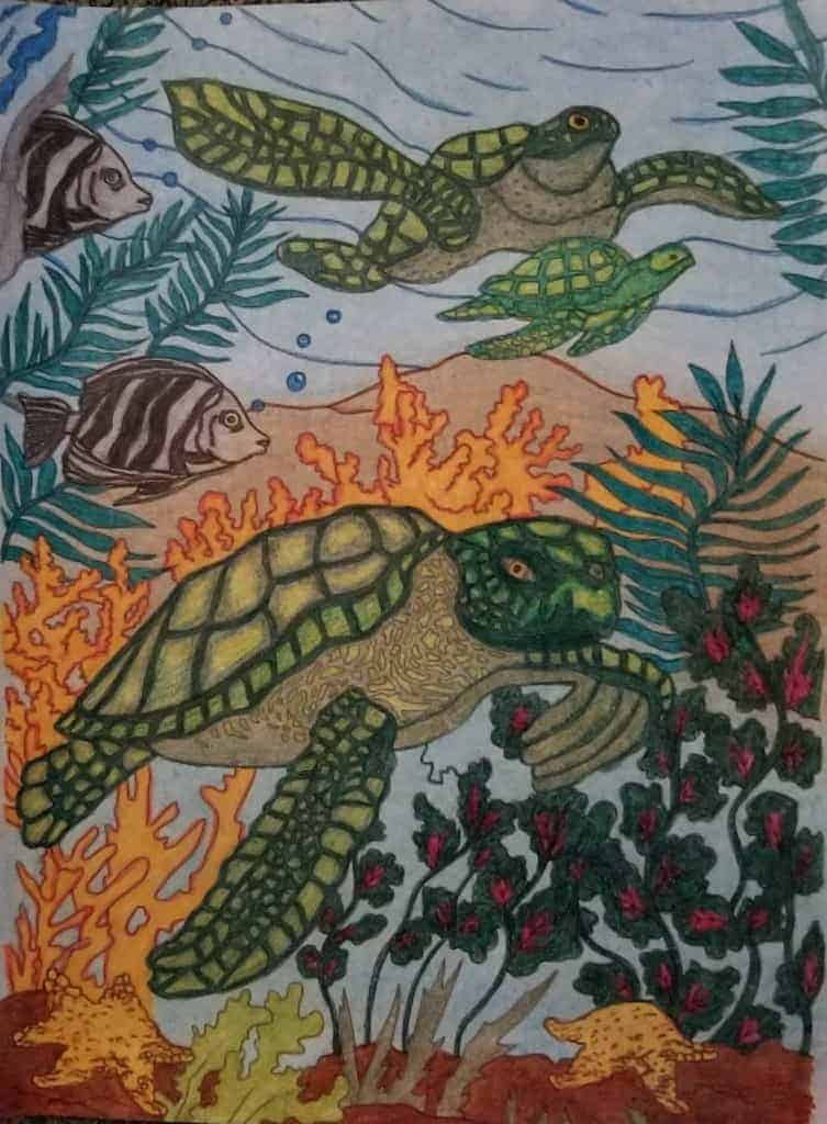 Ocean Life –  Turtles