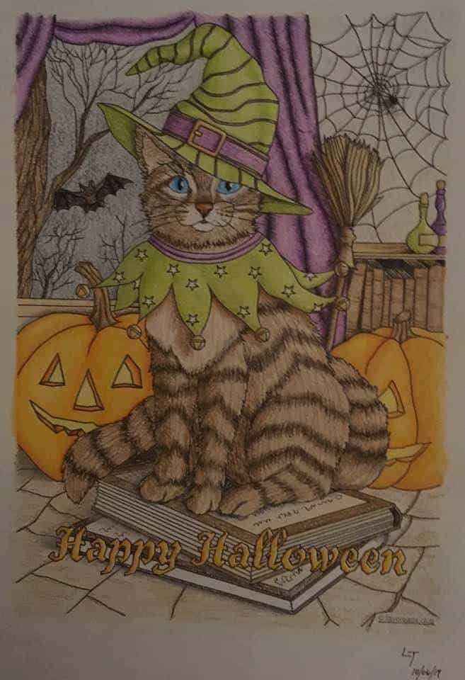 Holidays – Halloween Cat