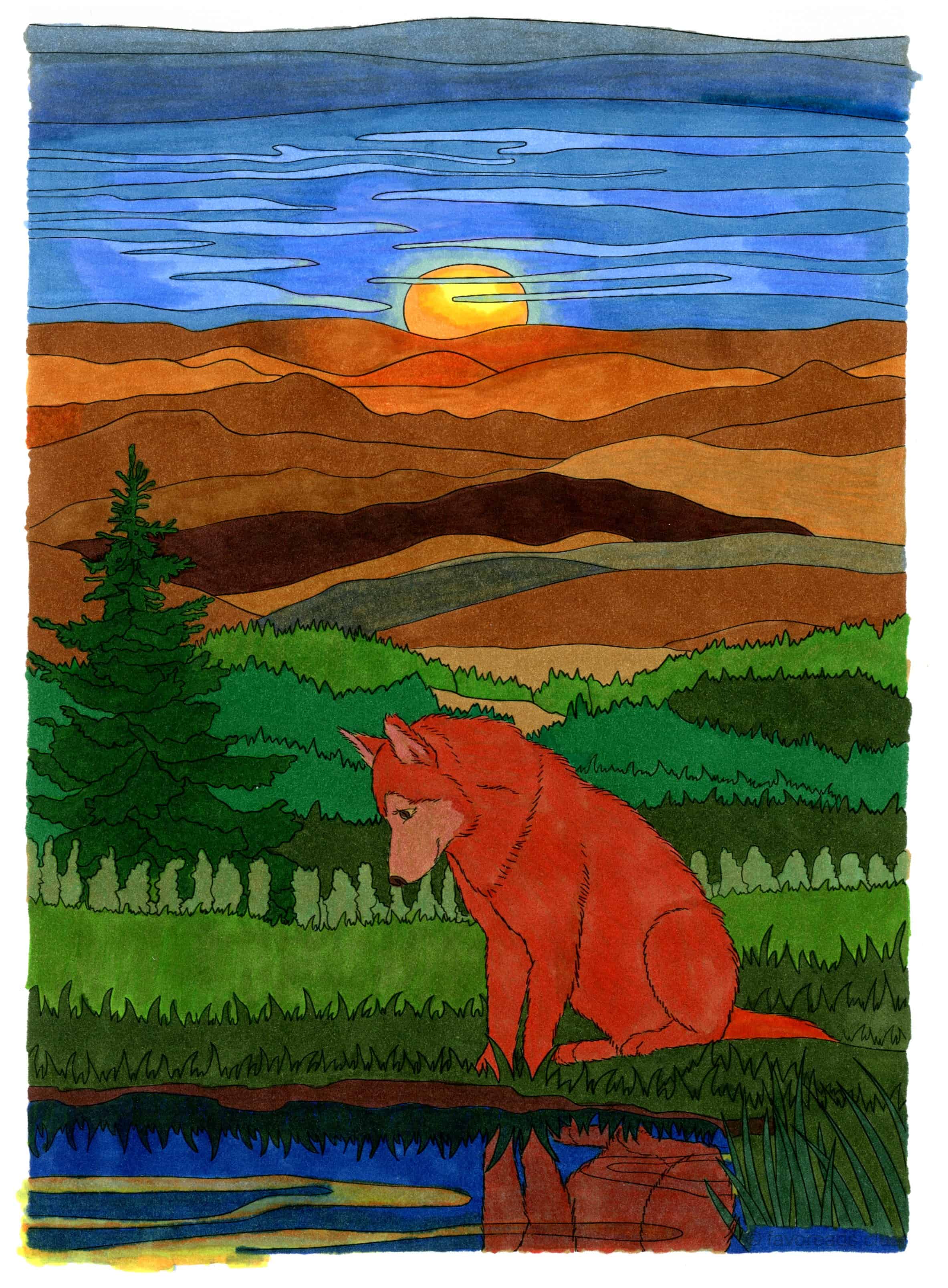 Wolf Enjoys the Sunset