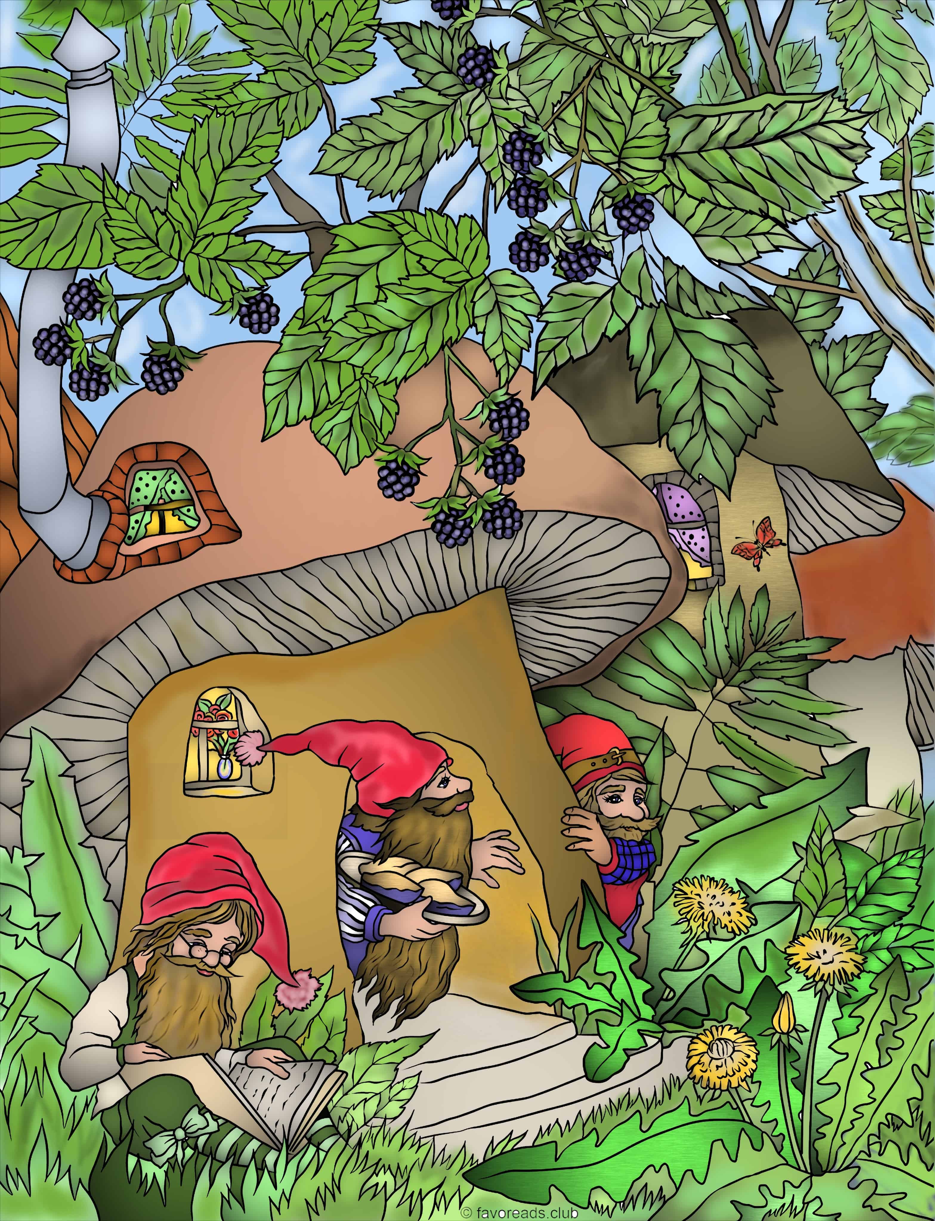 The Land of Gnomes