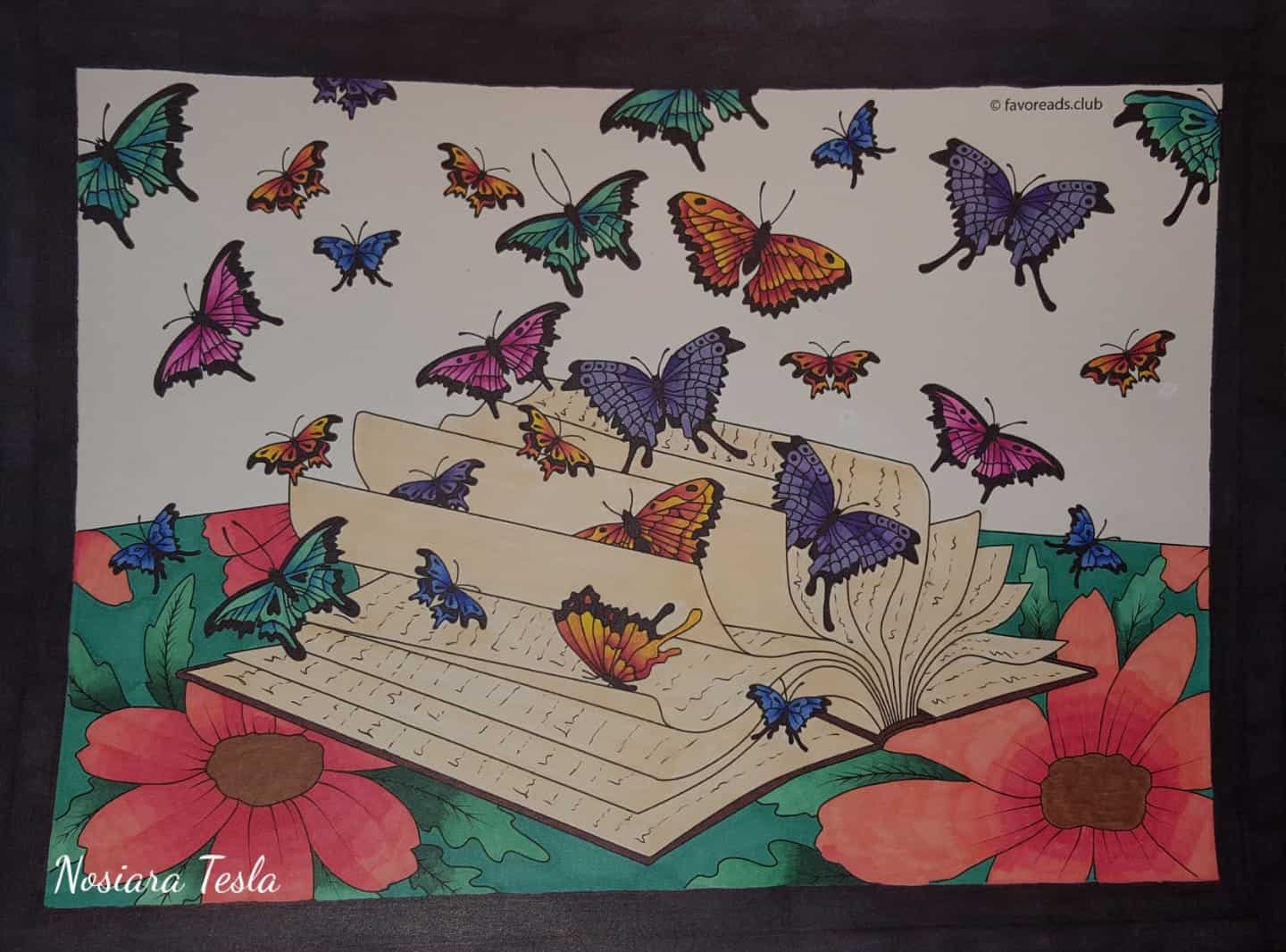 The World of Butterflies – Book