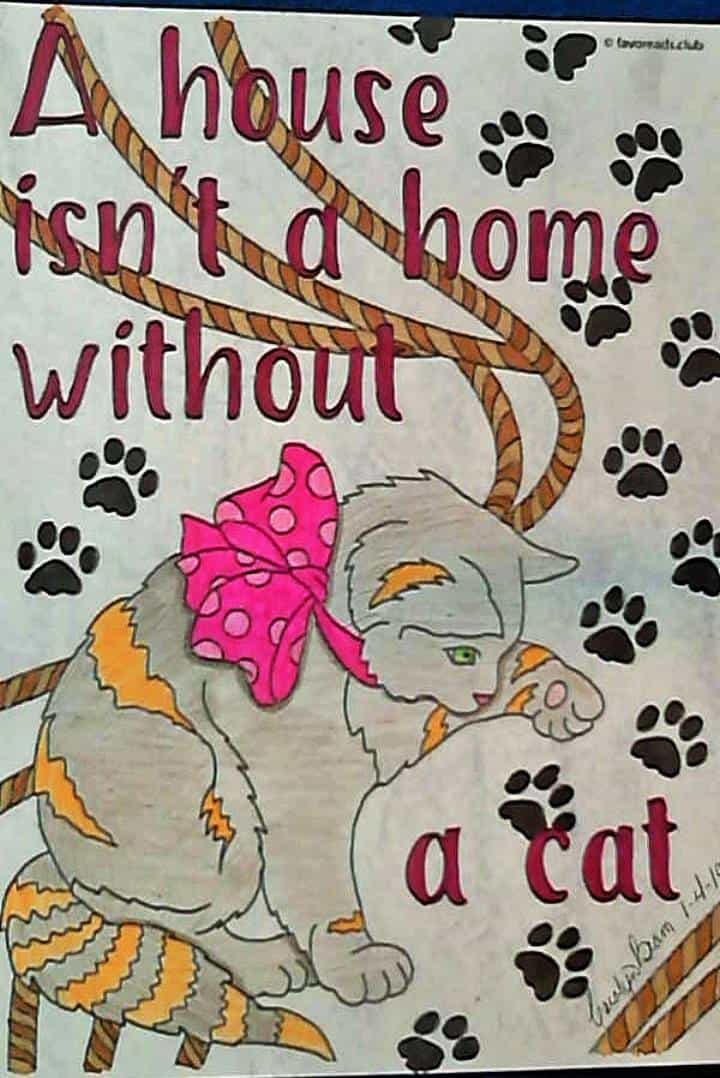Inspirational Messages – A House isn’t a Home without a Cat