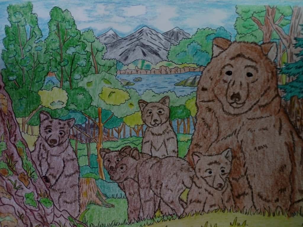 Bears