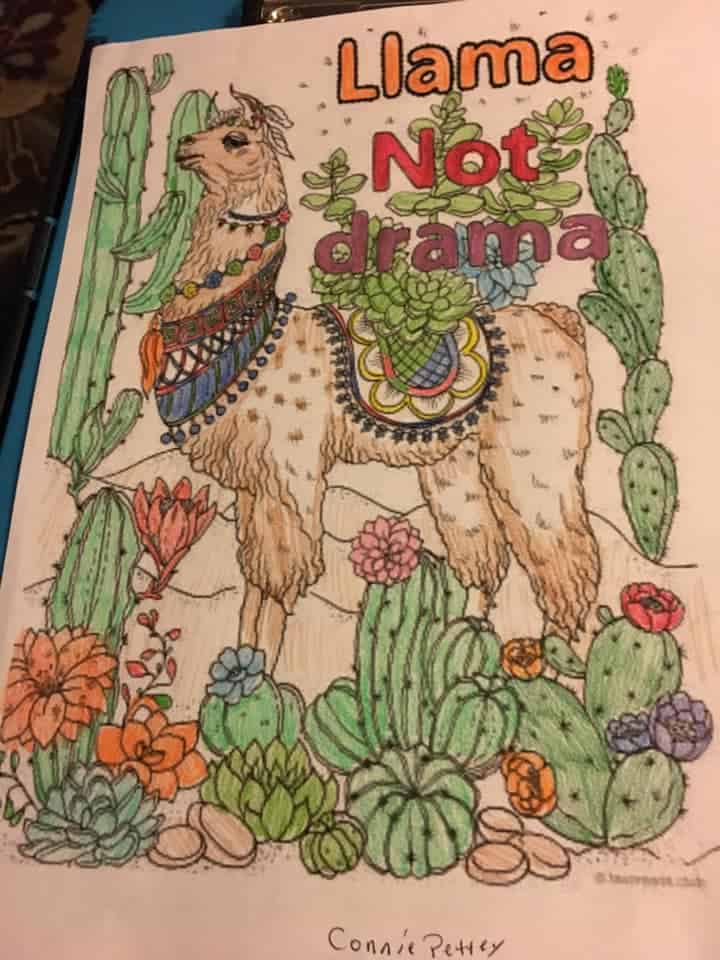 Llama, Not Drama