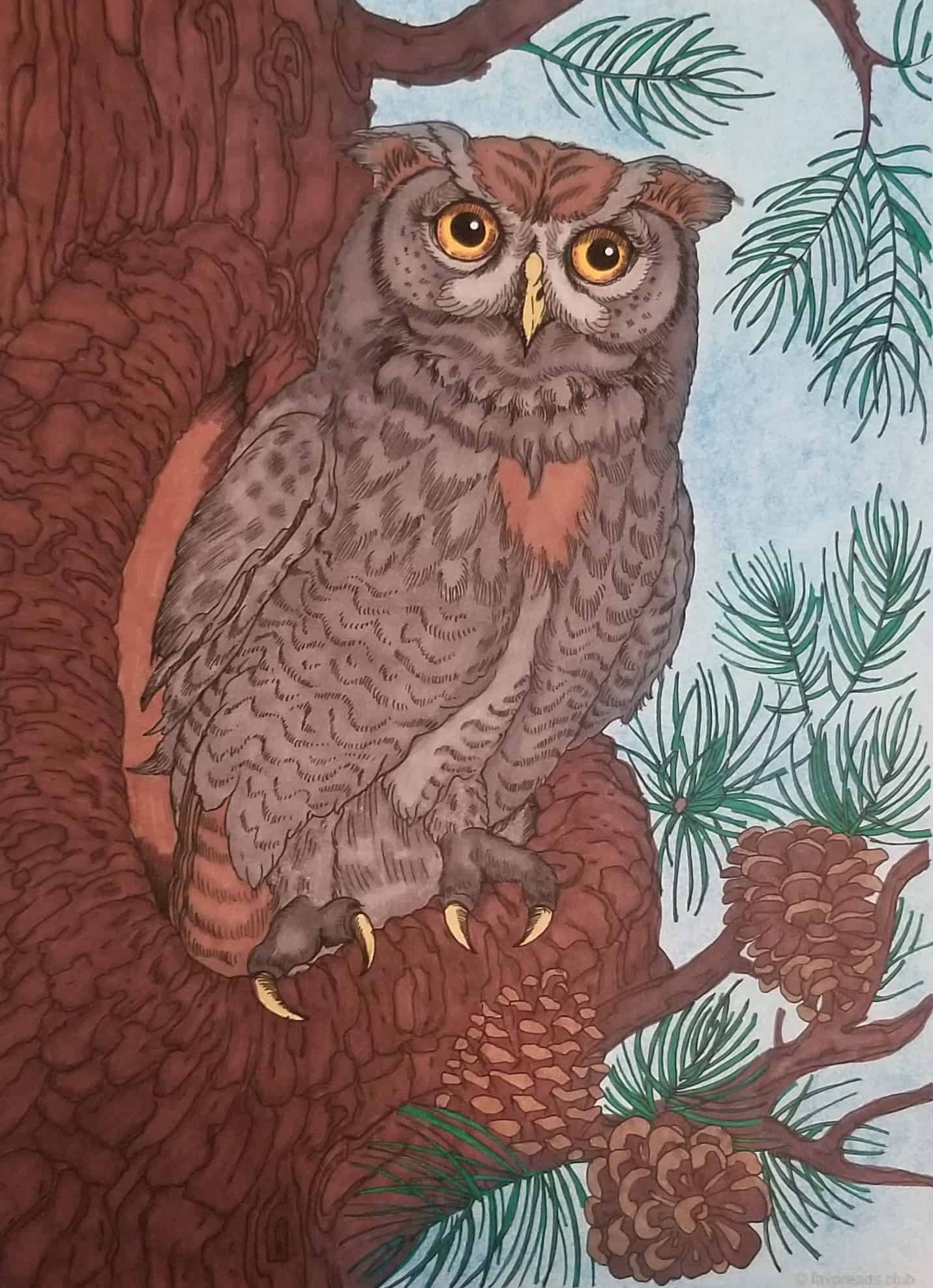 Owl in a Hollow