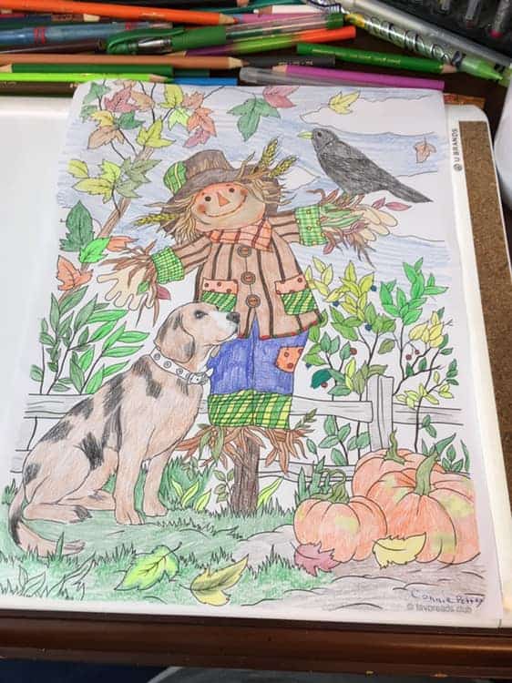 Dog and Scarecrow