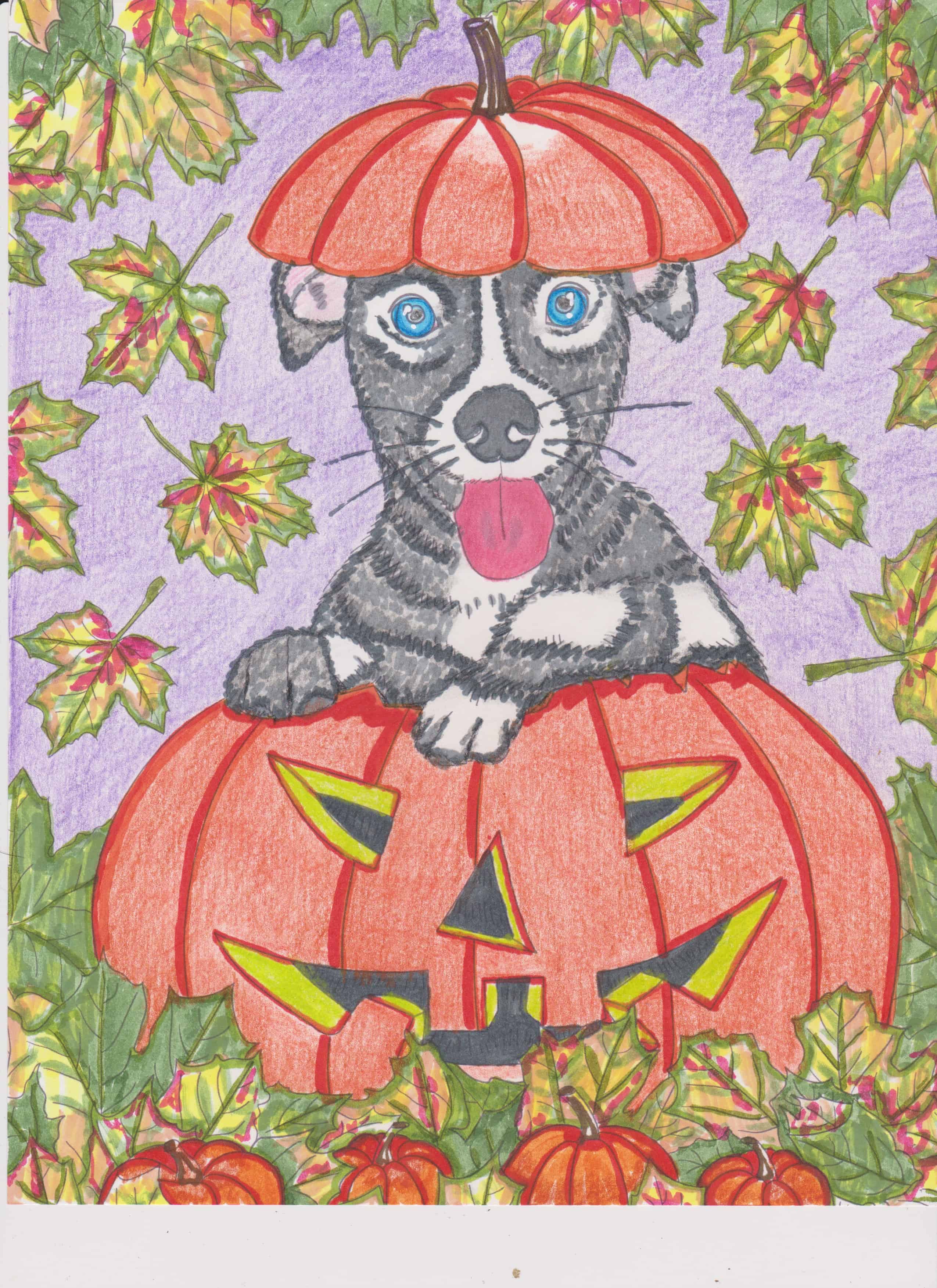 Cats and Dogs – Dog in a Pumpkin