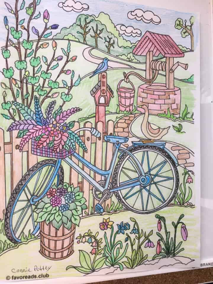 Country Spring – Bicycle