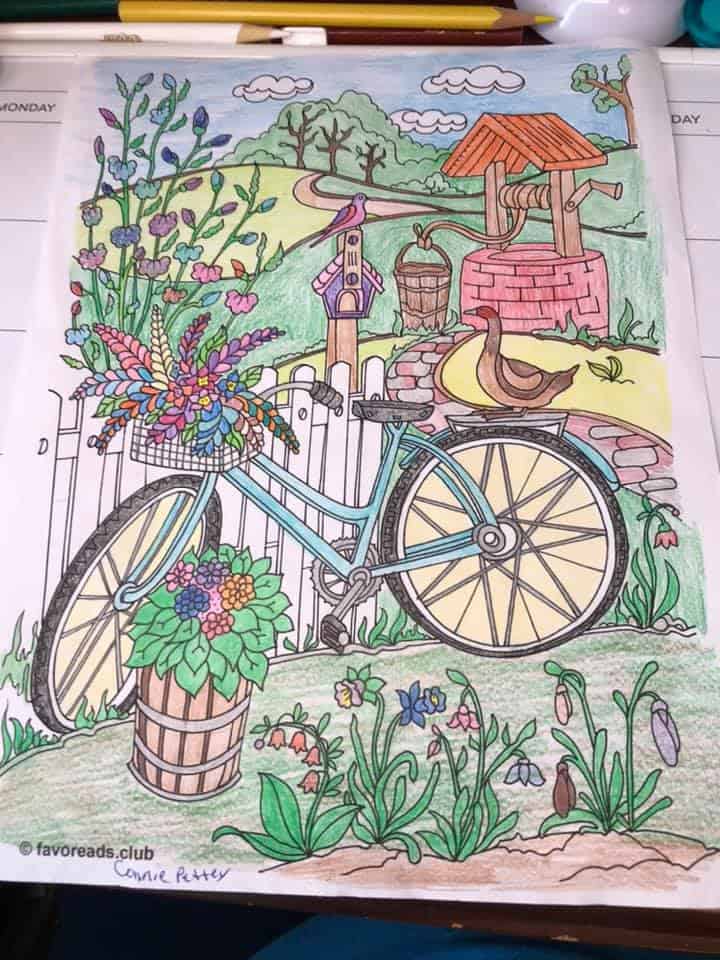 Country Spring – Bicycle