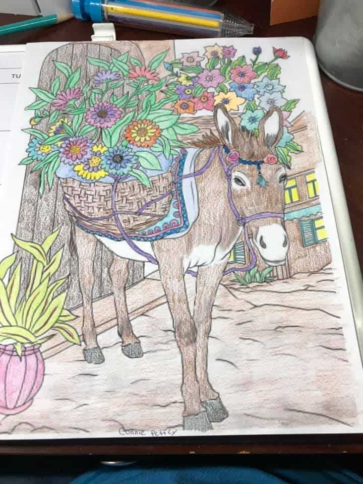 Donkey with Flowers
