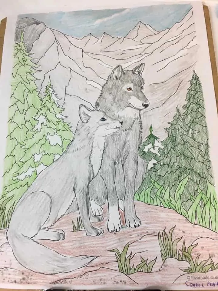 Wolf and Fox