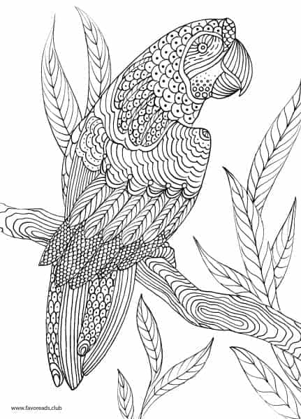 Animals and Birds – Parrot