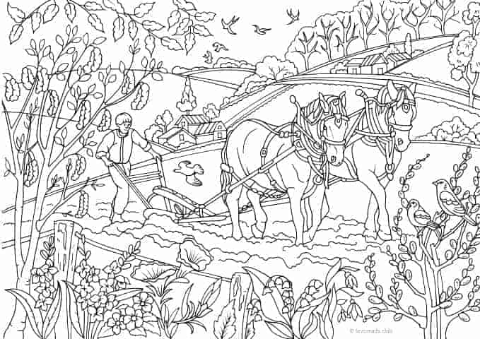 Country Spring – Countryman – Favoreads Coloring Club