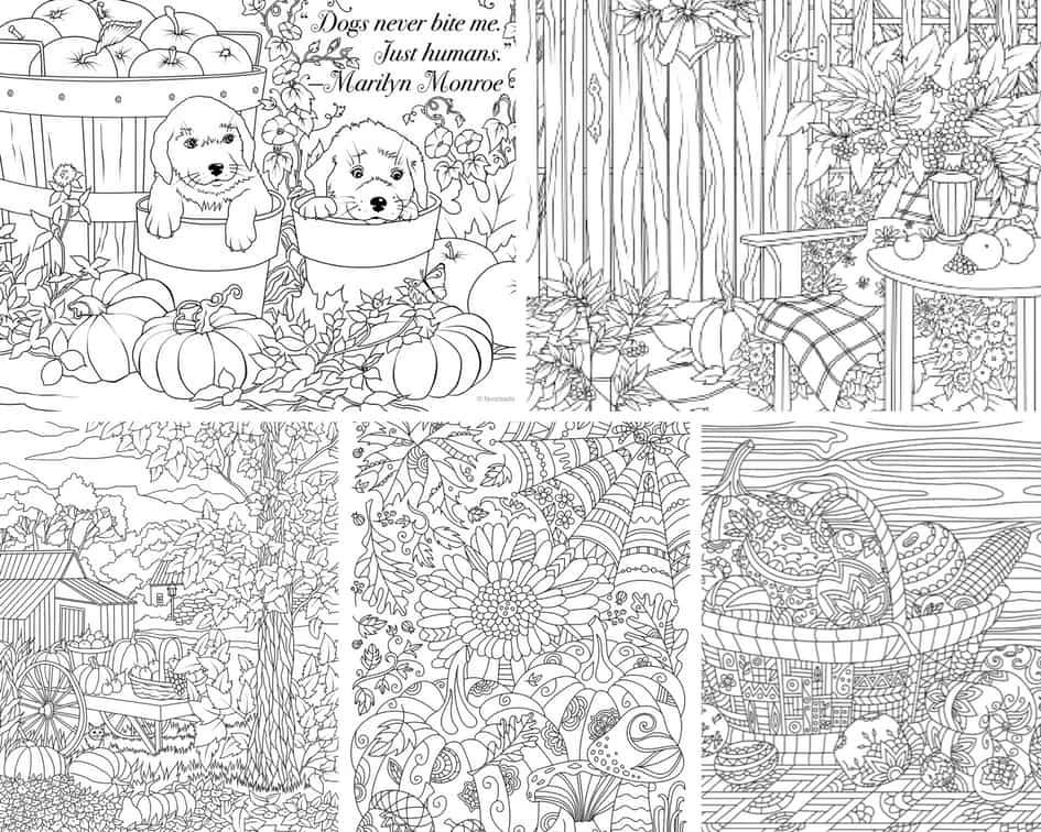 Autumn Charm – 5 Coloring Pages