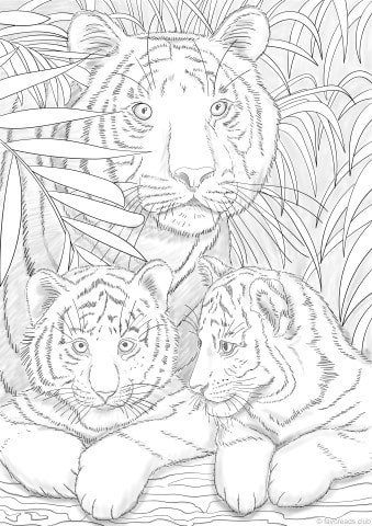 Tigers – Favoreads Coloring Club