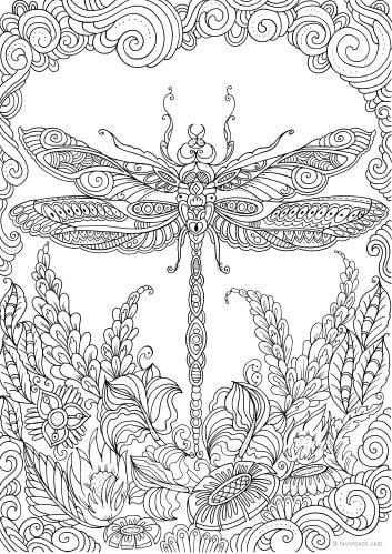 free dragonfly coloring pages