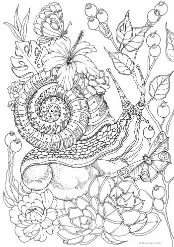 Snail Adult Coloring Book: An Adult Coloring Book with Snail for Relaxation  and Stress Relief, 50 Cute Snail Illustrations for Adults or Teens.