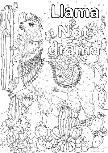 Llama, Not Drama