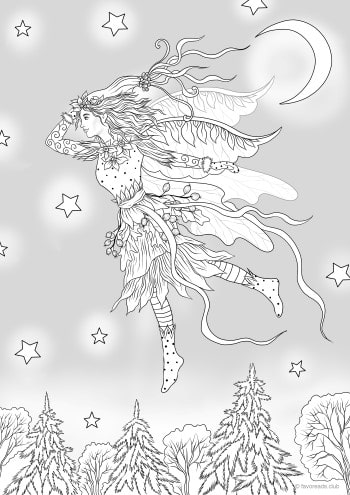 Winter Fairy