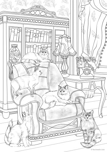 Cats and Armchair