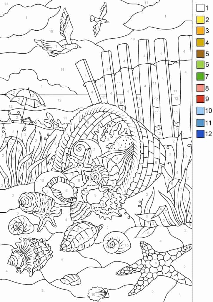 Download Sea Shells - Color Original Style or by Numbers - Printable Adult Coloring Pages from Favoreads
